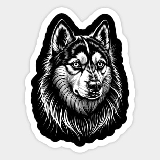 Alaskan Klee Kai Portrait /Face white on black Sticker